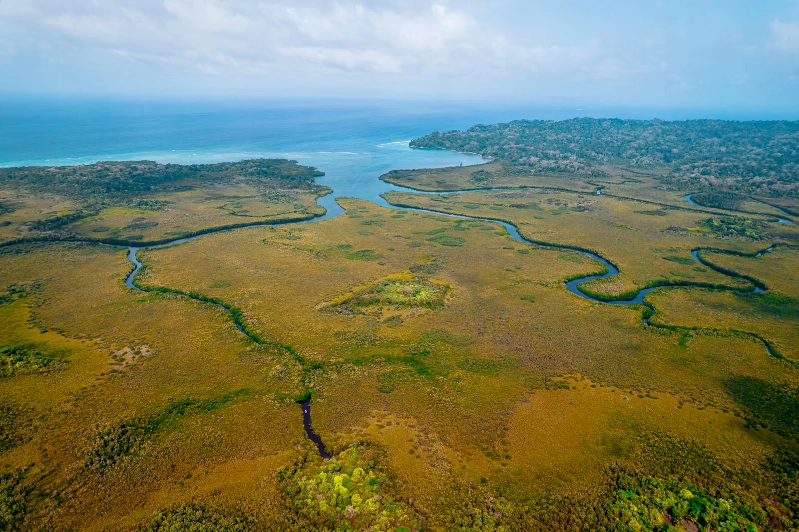 An aerial view of winding waterways opening onto the sea