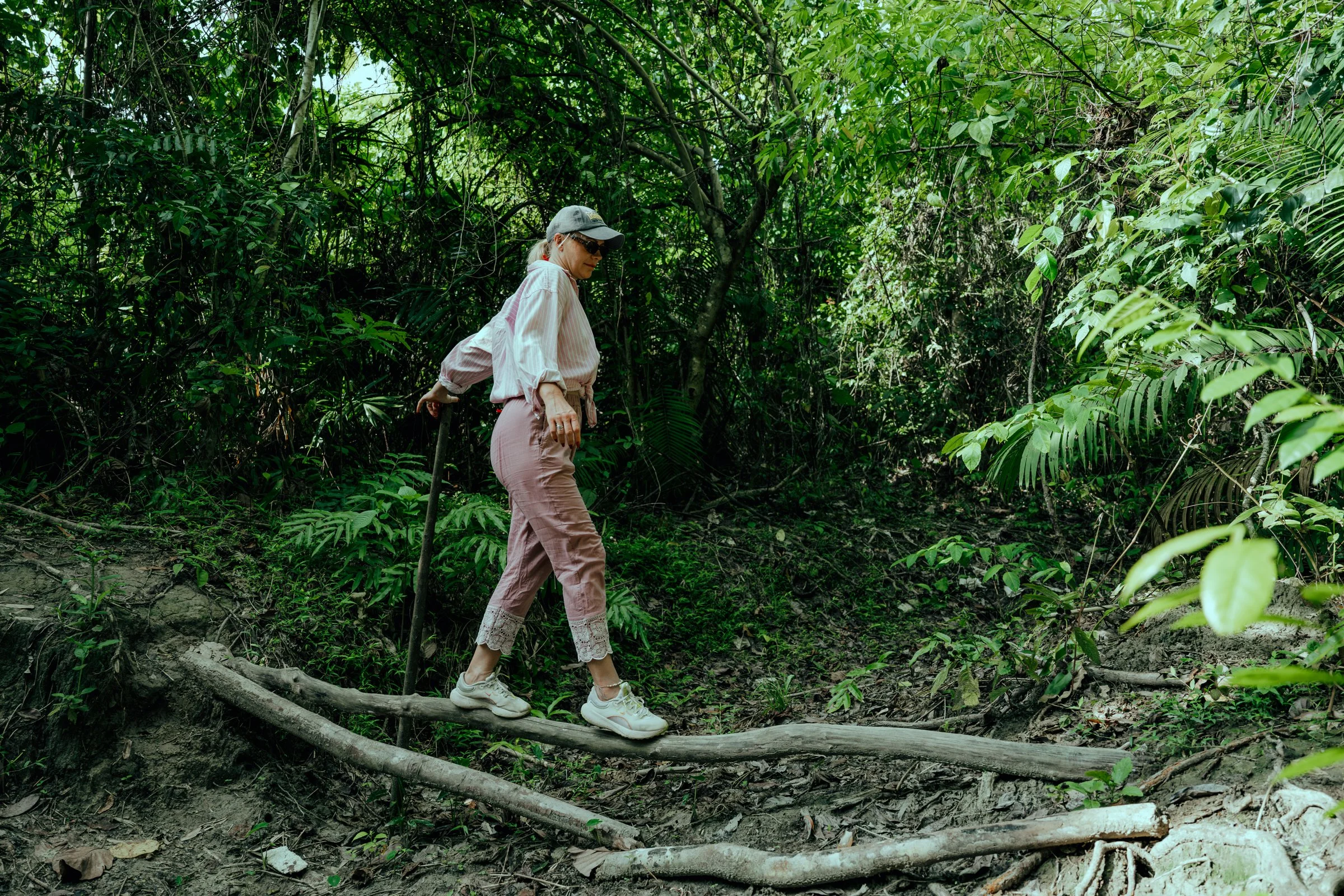 A walker crossing roots on a forest trail with a walking stick