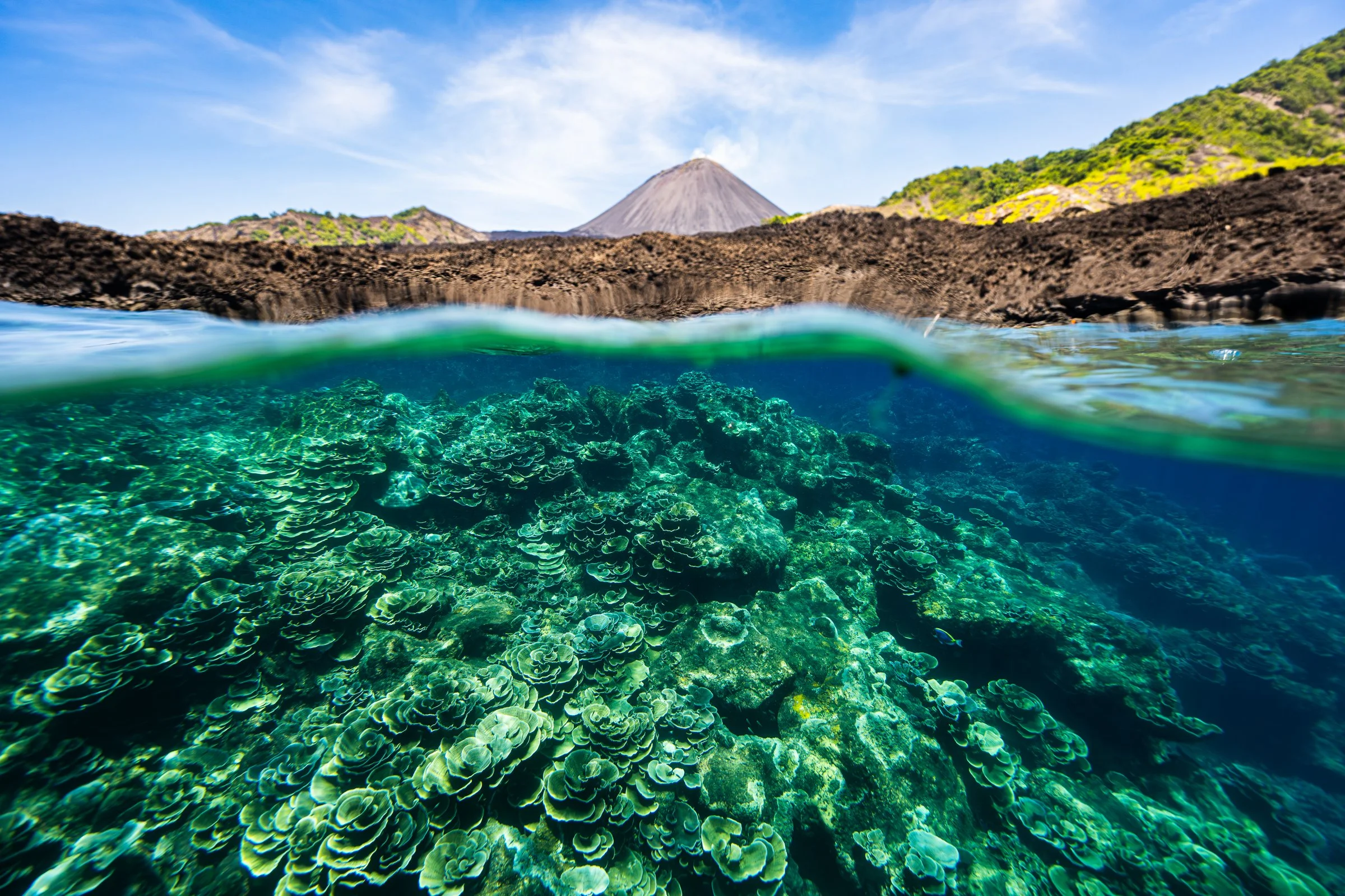 Split-water view of coral below the surface and a volcanic cone beyond the rocky shore, supplied by Andamanica